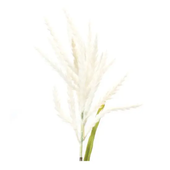 34" White Astilbe Stems, 6ct. {4}