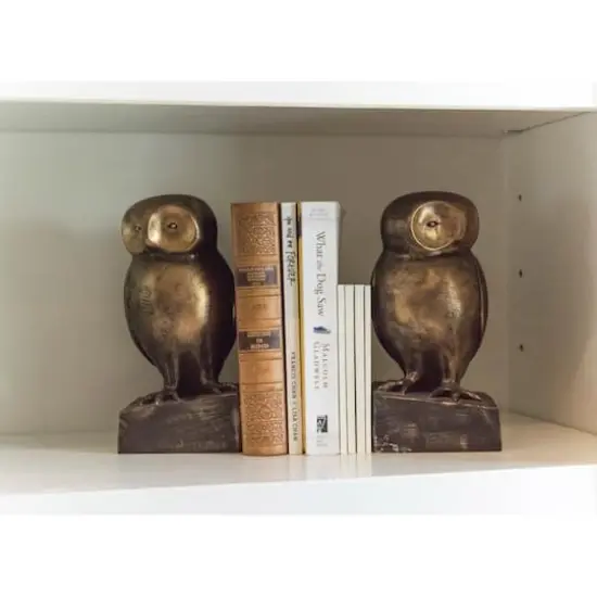Hello Honey&reg; 9" Bronze Finish Resin Owl-Shaped Bookends Set {4}
