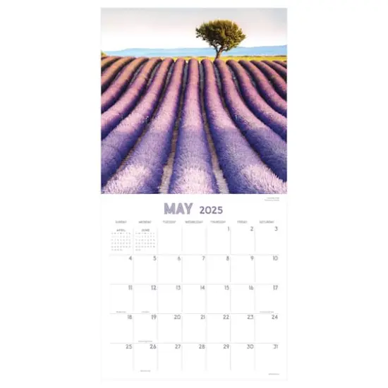 TF Publishing 2025 Landscapes Wall Calendar {6}