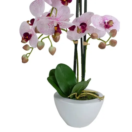 21" Pink & White Orchid Plant in White Pot {5}