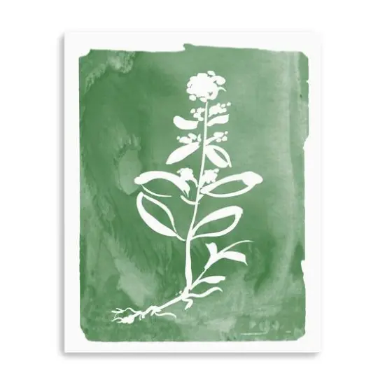 Green Botanical III Canvas Giclee {1}