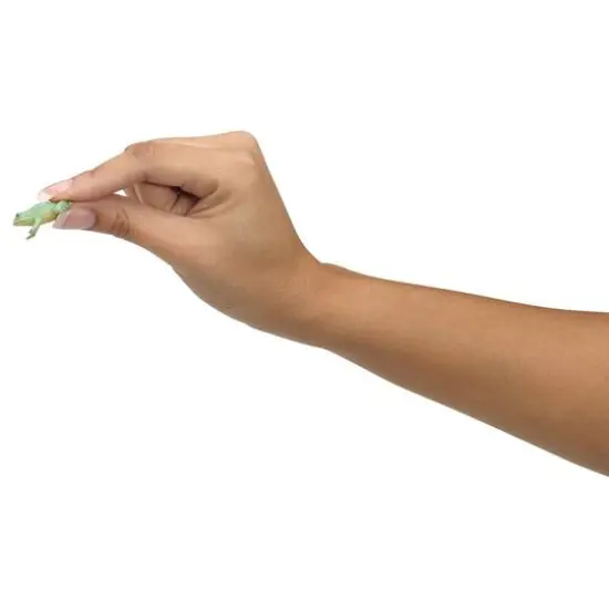 Toysmith 3-D Mirascope Instant Illusion Maker {6}