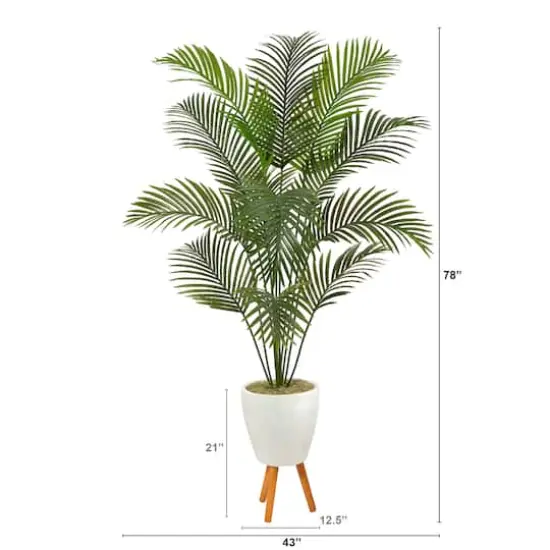 6.5ft. Golden Cane Palm Tree in White Planter with Stand {3}