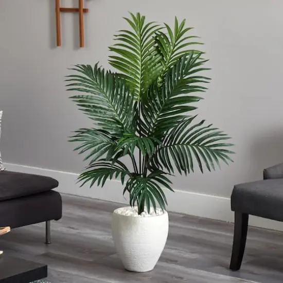 4.5ft. Kentia Palm Tree in White Oval Planter {5}