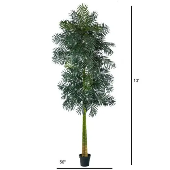 10ft. Potted Double Stalk Golden Cane Palm Tree {3}