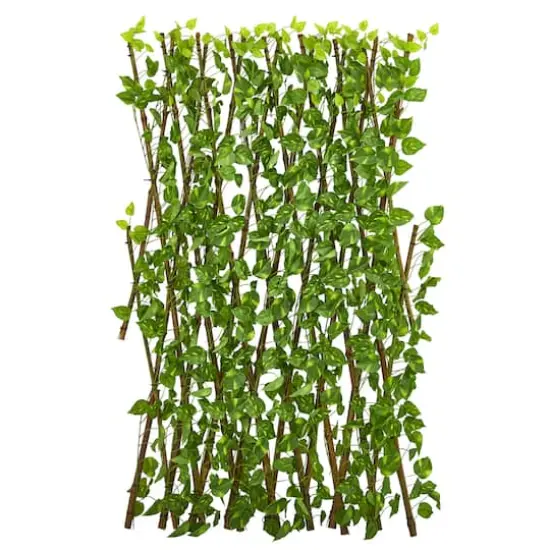 4ft. Pothos Expandable Fence {3}