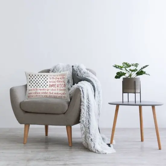 Stupell Industries Patriotic Pledge of Allegience Decorative Printed Throw Pillow {3}