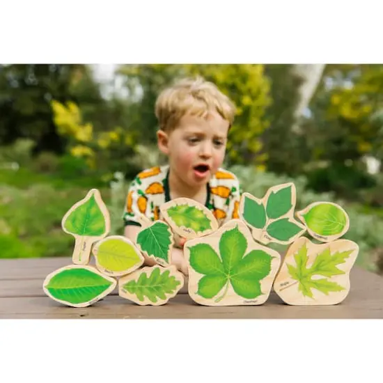 The Freckled Frog Seasons Double-Sided Leaves Play Set {5}