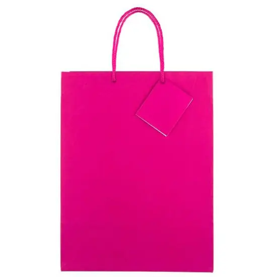 JAM Paper Large Glossy Gift Bags, 6ct. Pink {4}