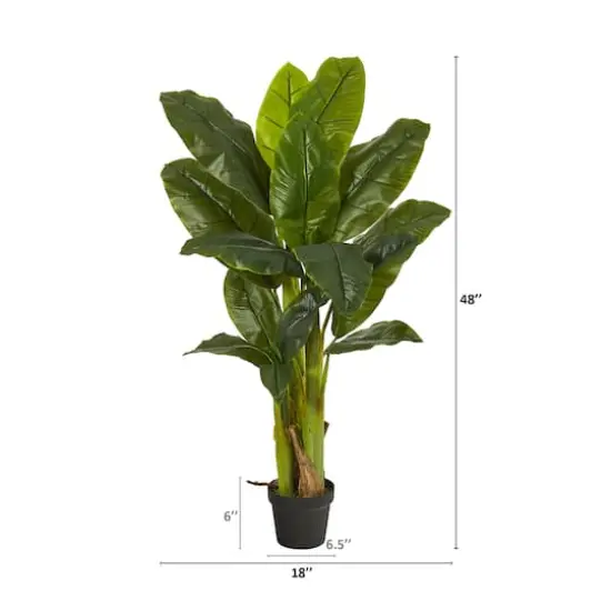 4ft. Potted Triple Stalk Banana Tree {3}