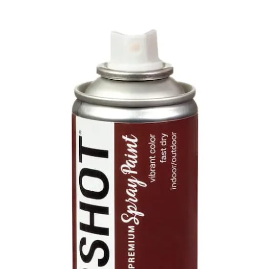 COLORSHOT&reg; Premium Gloss Spray Paint Brownie Points {5}