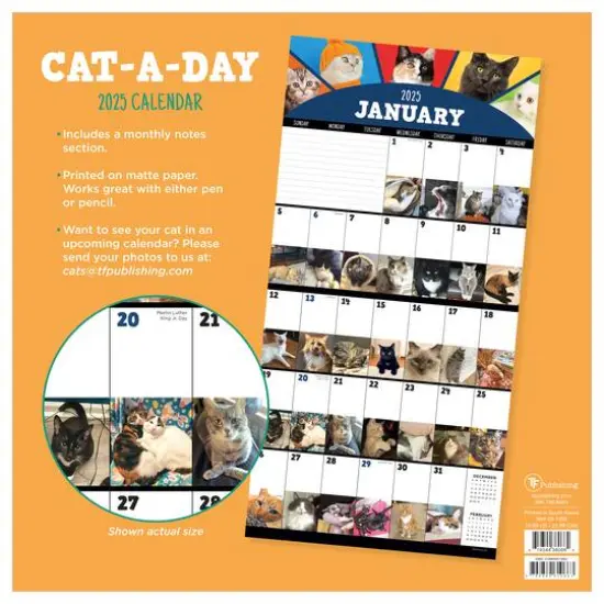 TF Publishing 2025 Cat-a-Day Wall Calendar {3}