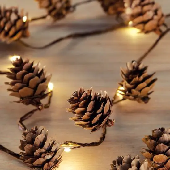 18ct. Warm White LED Pinecone String Lights by Ashland&reg; {3}