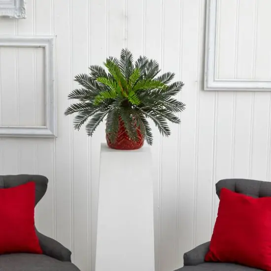 15'' Cycas Palm in Red Ceramic Planter {3}