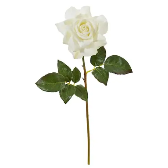 Rose Flower Stem, 6ct. White {1}