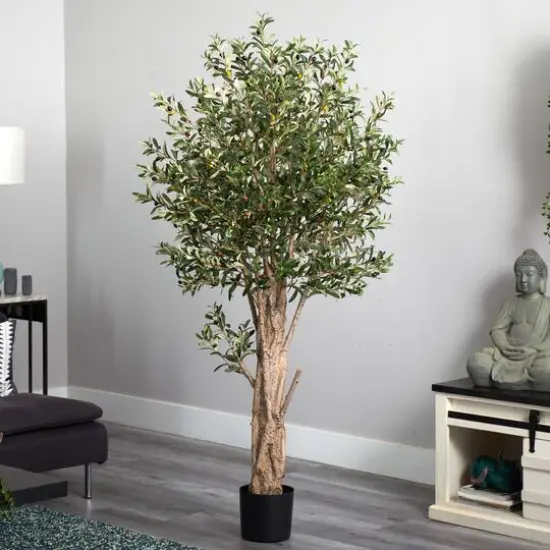 6ft. Potted Olive Tree {3}