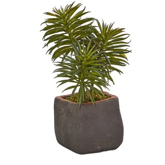 8" Succulent Trio in Gray Planter {5}