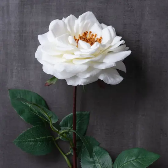 Orlane Rose Stem by Ashland&reg; White {3}