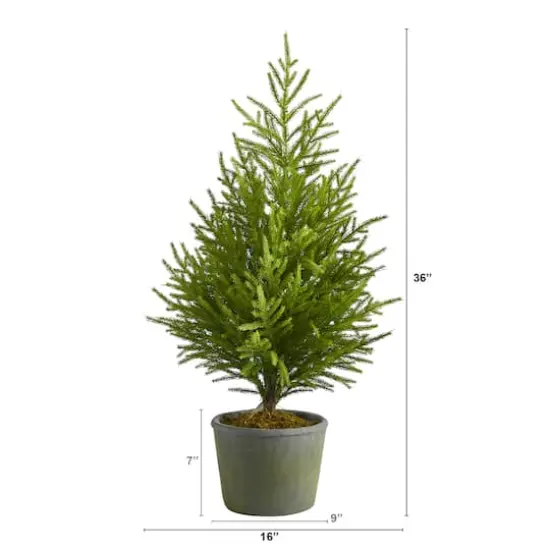 3ft. Unlit Norfolk Island Pine Artificial Potted Christmas Tree {3}