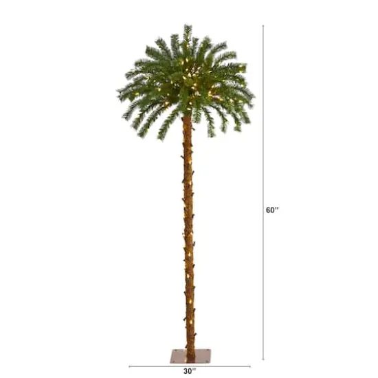 5ft. Pre-Lit Palm Artificial Christmas Tree, Warm White LED Lights {3}