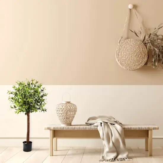 4ft. Potted Olive Topiary Tree {3}