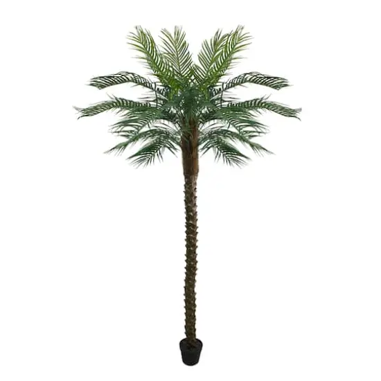 7.25ft. Potted Green & Brown Phoenix Palm Tree {1}