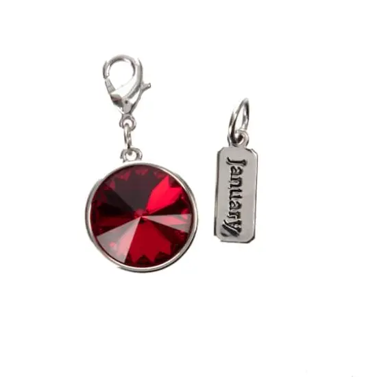 Austrian Crystal Birth Month Charm Set by Bead Landing&trade; Garnet Red/January {1}
