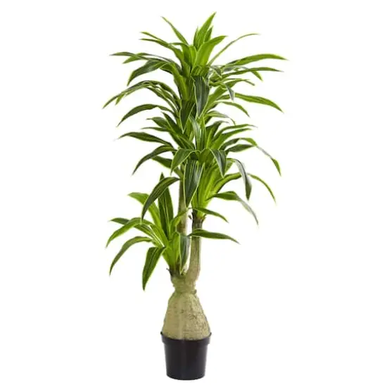 6.5ft. Potted Dracaena Artificial Plant {1}
