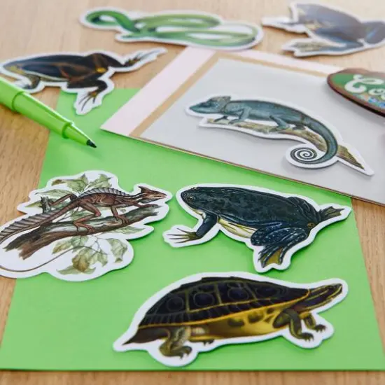 Reptiles Die Cut Stickers by Recollections&trade; {6}