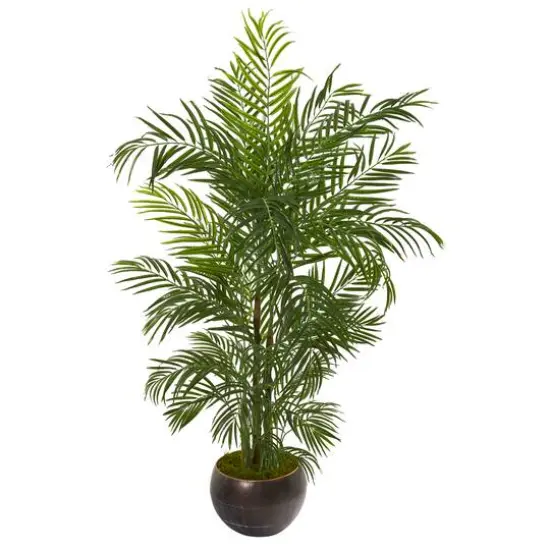5.5ft. Areca Palm Tree in Brown Planter {1}