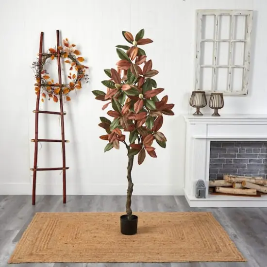 6ft. Potted Fall Magnolia Tree {5}