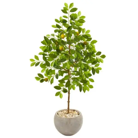 4.5ft. Lemon Tree in Sand Colored Planter {1}