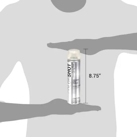 COLORSHOT&reg; Premium Shiny Metallic Spray Paint & Primer Heads or Tails {8}