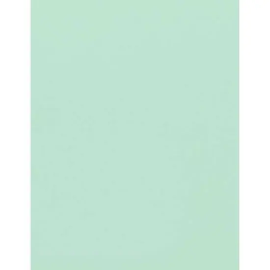 PA Paper™ Accents 8.5" x 11" 73lb. Muslin Cardstock Paper, 1,000 Sheets Irish Mint {1}