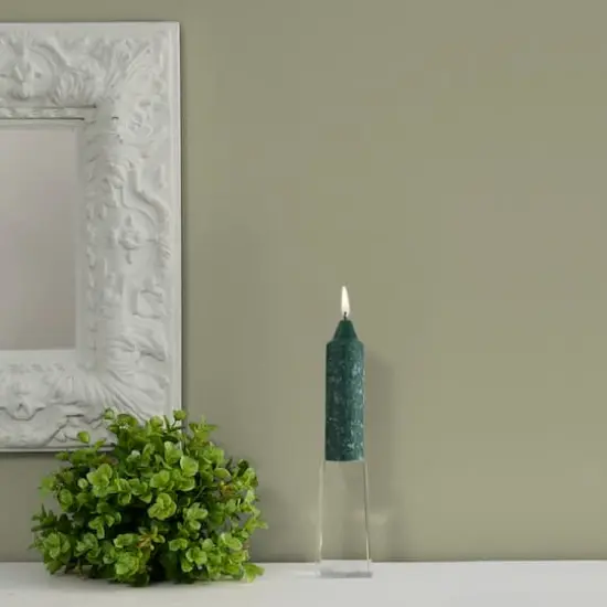 Root Candles 5" Unscented Timberline™ Collenette Taper Candles, 8ct. Dark Green {4}