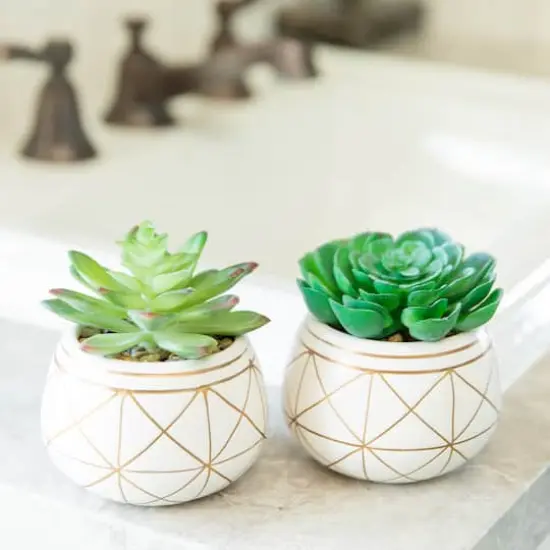 Flora Bunda&reg; 4" Succulent in Geo Gold Round Ceramic Pot, 2ct. {4}
