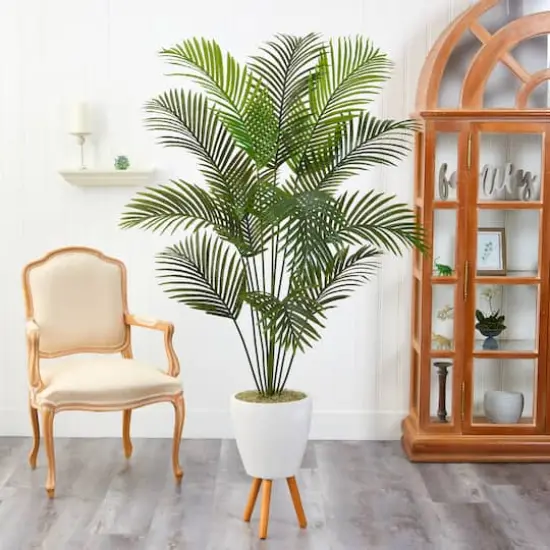 6.5ft. Golden Cane Palm Tree in White Planter with Stand {4}