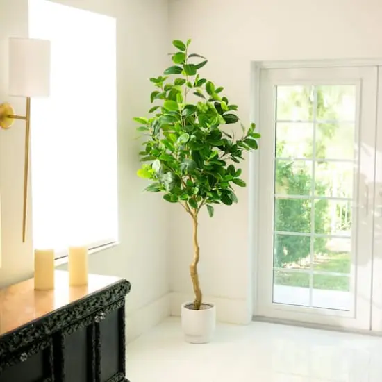 7ft. Artificial Audrey Ficus Tree {3}
