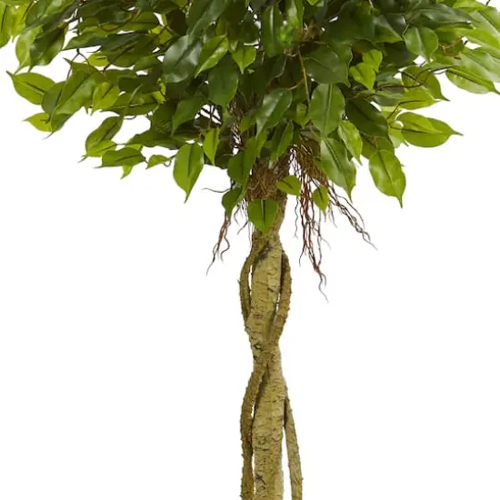 4ft. Potted Ficus Topiary Tree {4}