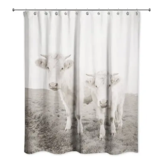Whitewashed Cow Photograph 71" x 74" Shower Curtain {3}