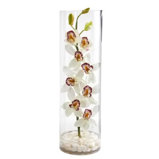 20" Boat Orchid Arrangement in Tall Cylinder Vase {1}