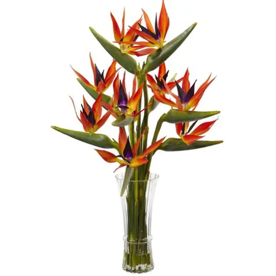 2.5ft. Bird of Paradise Flowers in Glass Cylinder Vase {1}