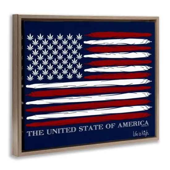 Stupell Industries Herb America Flag Floater Framed Art Brown {4}