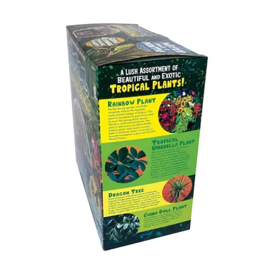 Biosphere Terrarium - Tropical Rainforest Jungle {5}