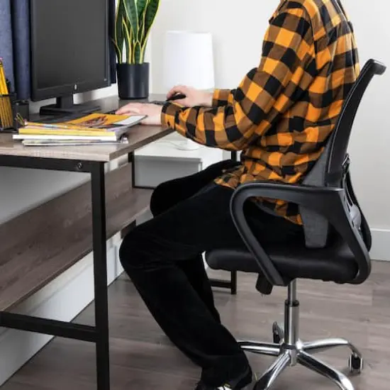 Mind Reader Teal & Black Ergonomic Back Cushion {3}