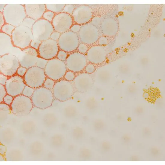 Hello Honey&reg; 8.5" Abstract Elegance Stoneware Plate Set {9}