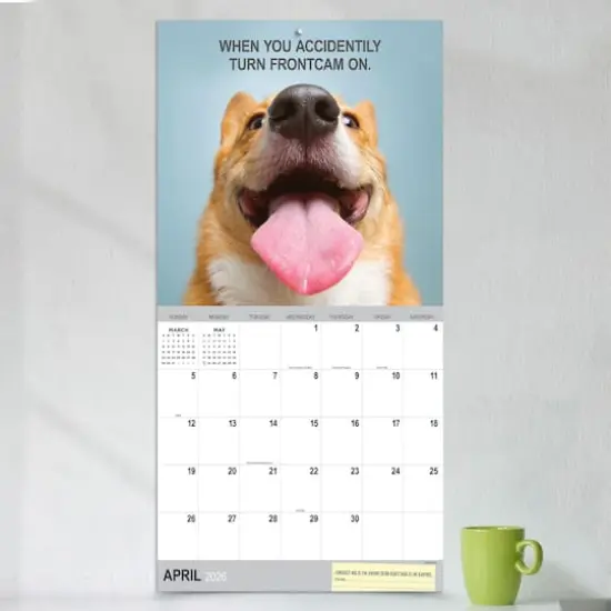 2026 Desk Dogs Wall Calendar {4}
