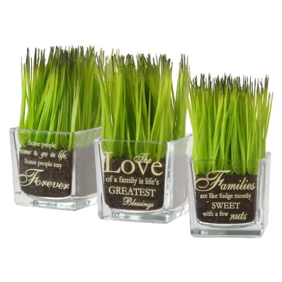3-Piece Square Sprout-Filled Glass Assortment {1}
