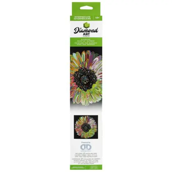 Diamond Art&reg; Rainbow Daisy Intermediate Kit {3}