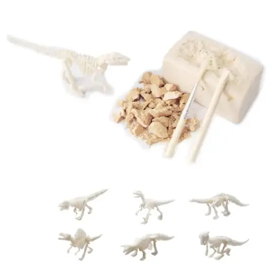 Wonders of Learning Discover Dinosaurs Educational Tin Set {5}